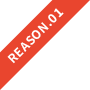 REASON.01