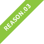 REASON.03