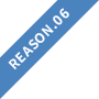 REASON.06